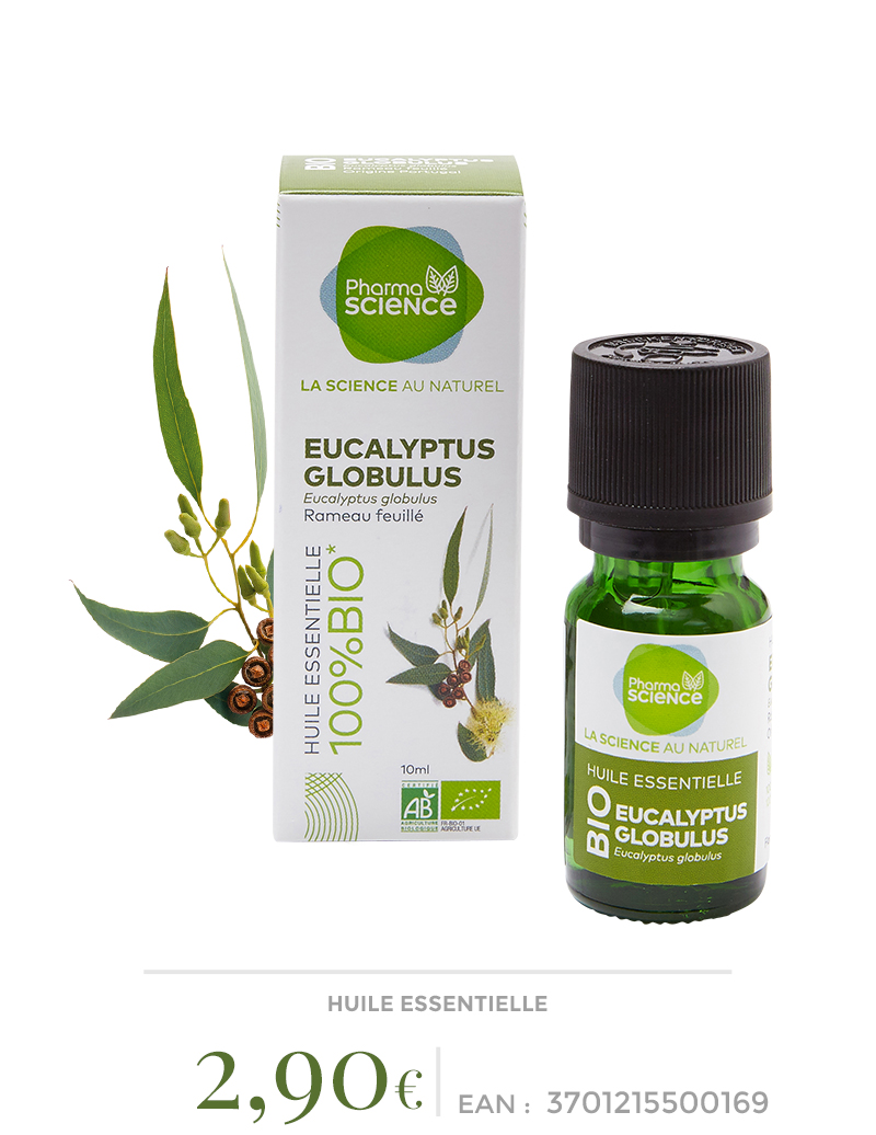 Conseil Maestro choisir huile essentielle d eucalyptus globulus cinéma ...